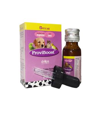 Dog boarding in chennai